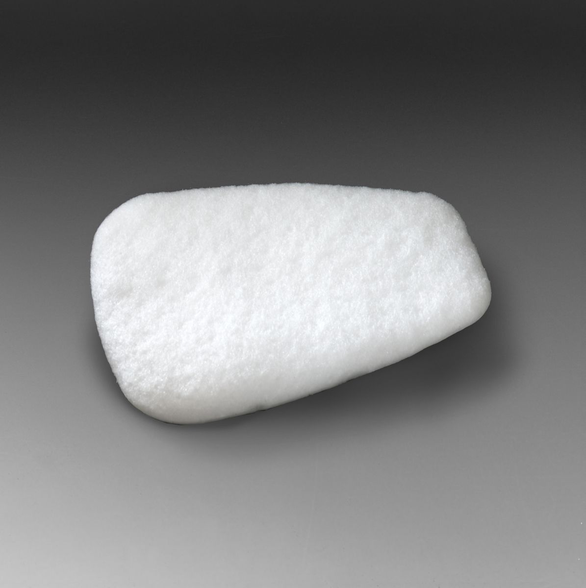 3M™ 5N11 N95 Particulate Filter