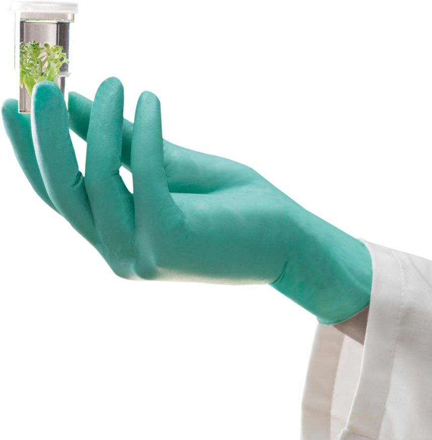 Ansell® Microflex® NeoTouch™ 25-101/2XL Neoprene Chemical-Resistant Disposable Gloves