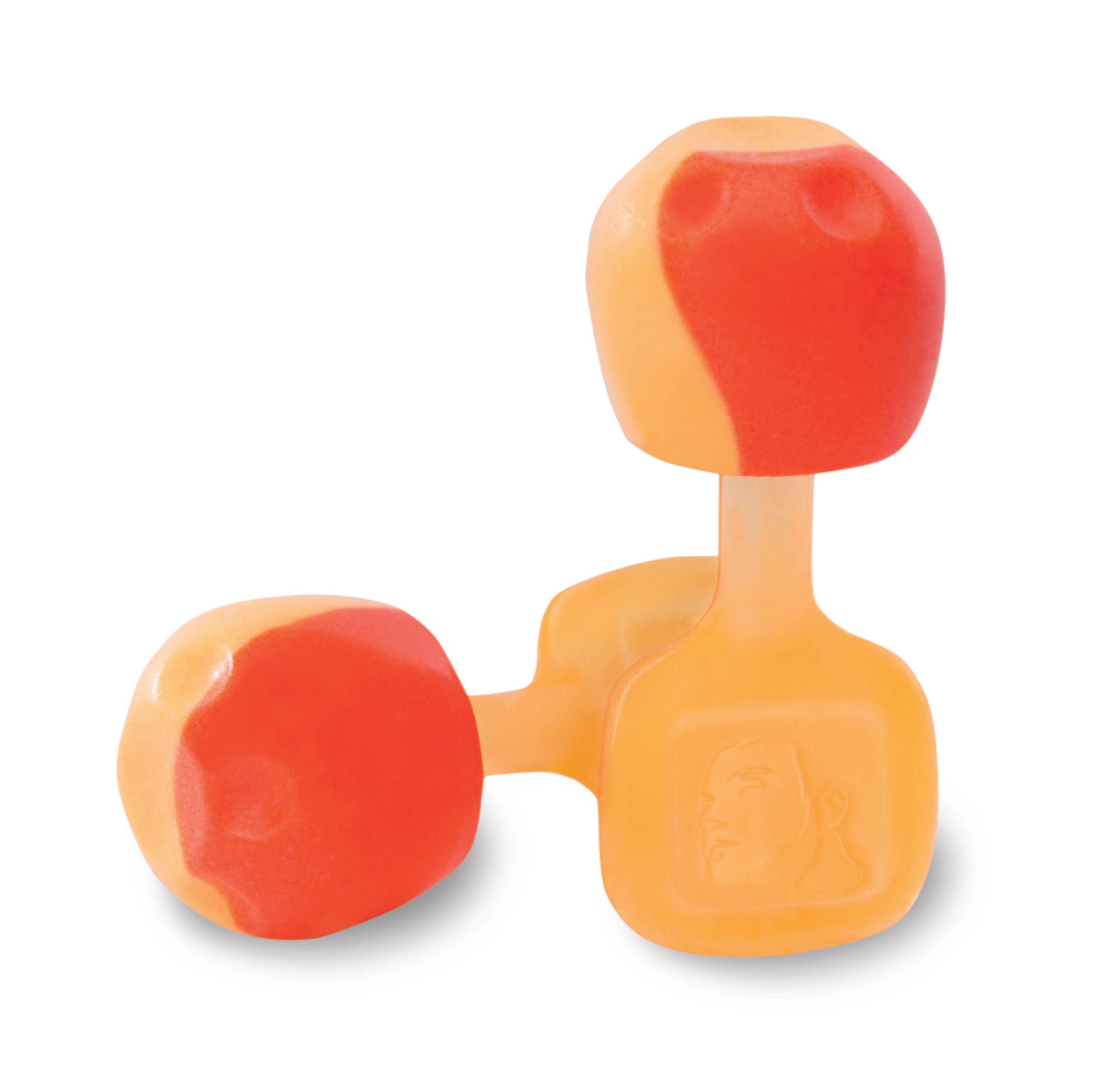 Howard Leight TrustFit™ Pod TRUSTFITPOD-1 Earplugs