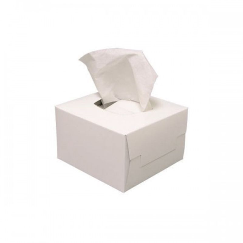 Radians VisionAid 1LC1760 Lens Cleaning Tissue Pack
