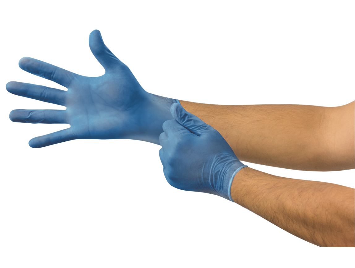 Ansell® Microflex® V-29/L Vinyl Disposable Gloves