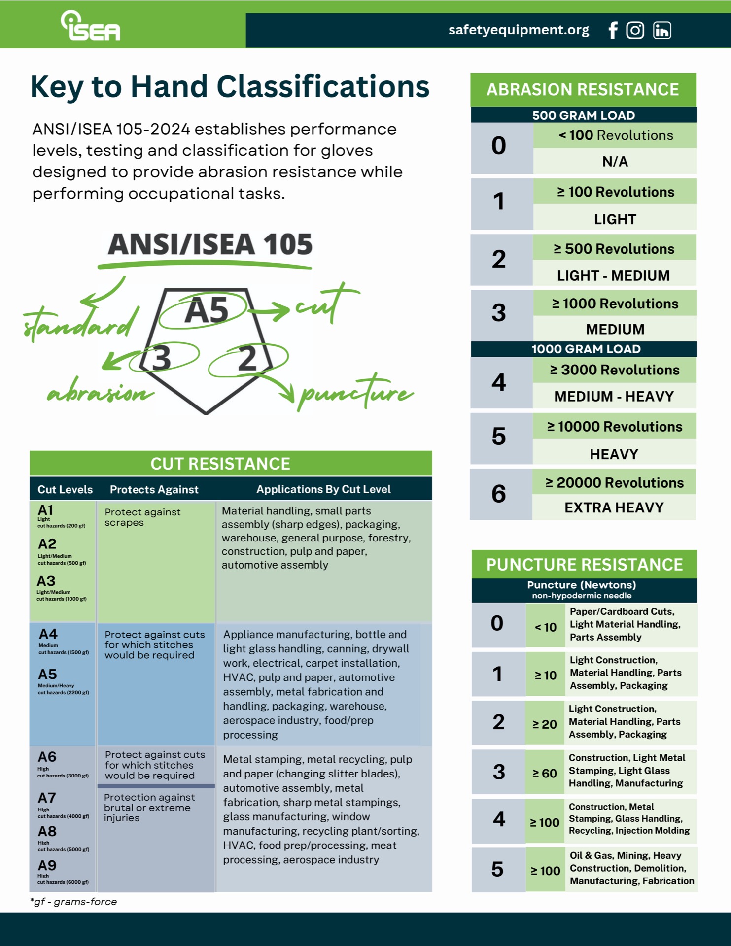 stg242-isea-key-to-hand-classifications-poster-9600d563.jpg?ts=1789555557