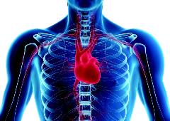 CPR to The Heart